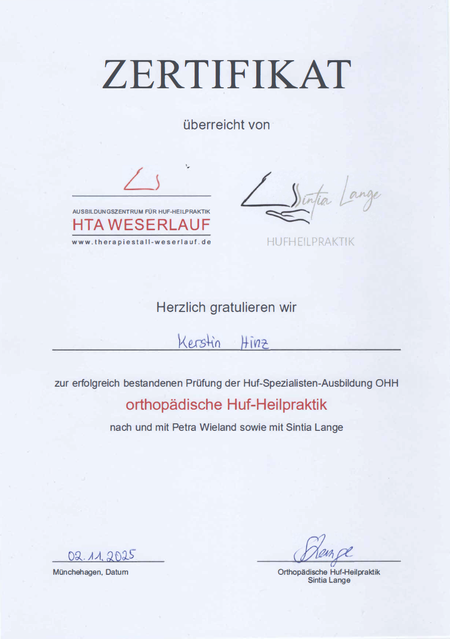 Kikis Ausbildungszertifikat
